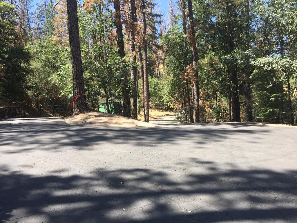 Yosemite Bass Lake Dream Cottage Zewnętrze zdjęcie